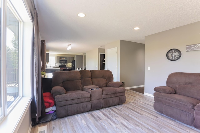 18071 Lincoln Cir NW, Elk River, MN 55330 - living room featuring healthy amount of natural light, baseboards, light wood-style flooring, a textured ceiling, and recessed lighting