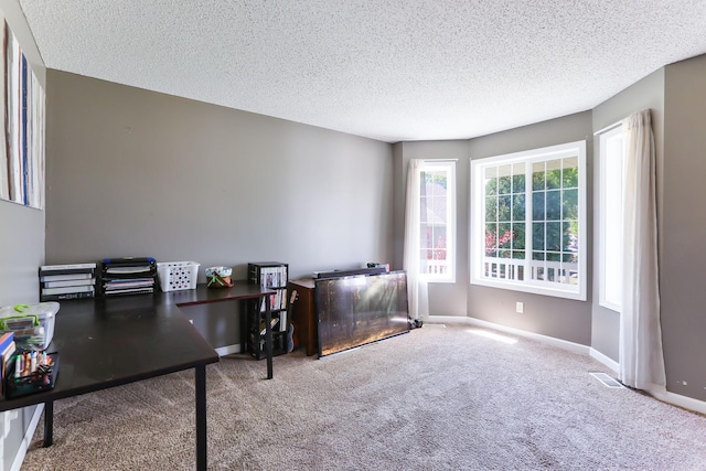 18071 Lincoln Cir NW, Elk River, MN 55330 - home office featuring carpet flooring, a textured ceiling, and baseboards