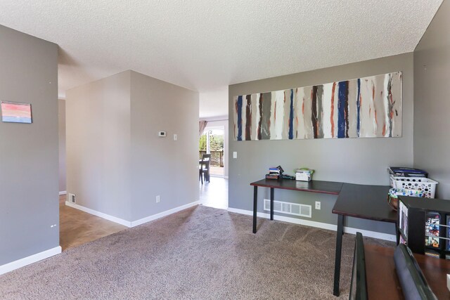 18071 Lincoln Cir NW, Elk River, MN 55330 - home office featuring carpet flooring, a textured ceiling, and baseboards
