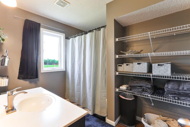 18071 Lincoln Cir NW, Elk River, MN 55330 - bathroom featuring a textured ceiling, a sink, and a shower with curtain