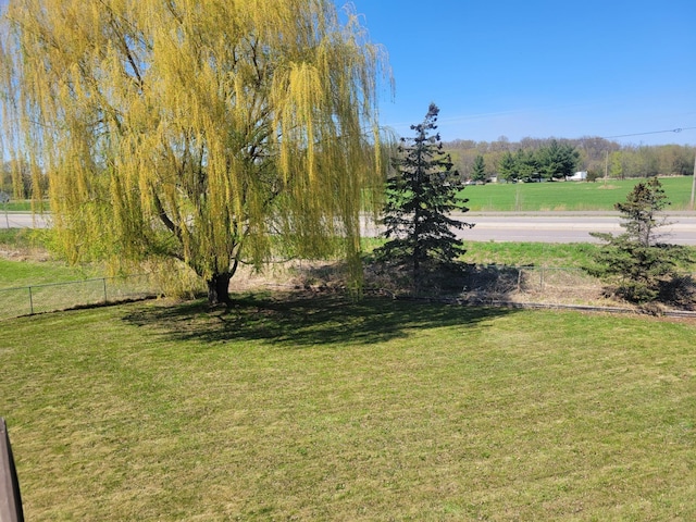 18071 Lincoln Cir NW, Elk River, MN 55330 - view of yard