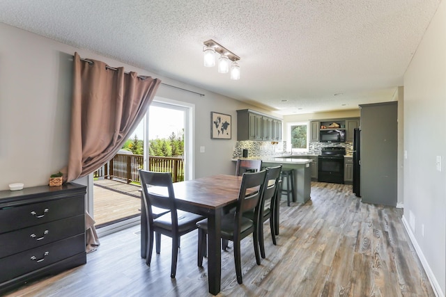 18071 Lincoln Cir NW, Elk River, MN 55330 - dining room with light wood finished floors, plenty of natural light, a textured ceiling, and baseboards