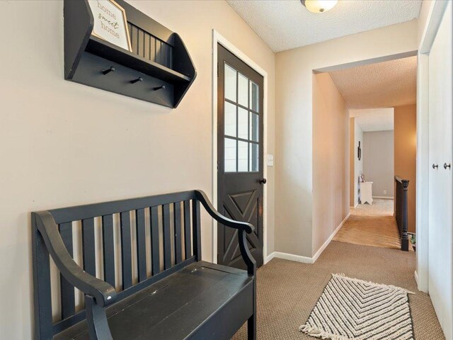 19531 Pine Landing Dr, Grand Rapids, MN 55744 - mudroom featuring carpet floors, a textured ceiling, and baseboards