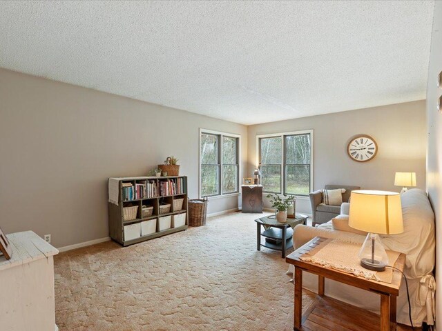 19531 Pine Landing Dr, Grand Rapids, MN 55744 - living room featuring a textured ceiling, carpet floors, and baseboards