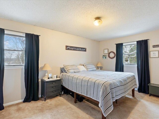 19531 Pine Landing Dr, Grand Rapids, MN 55744 - bedroom with light colored carpet and a textured ceiling