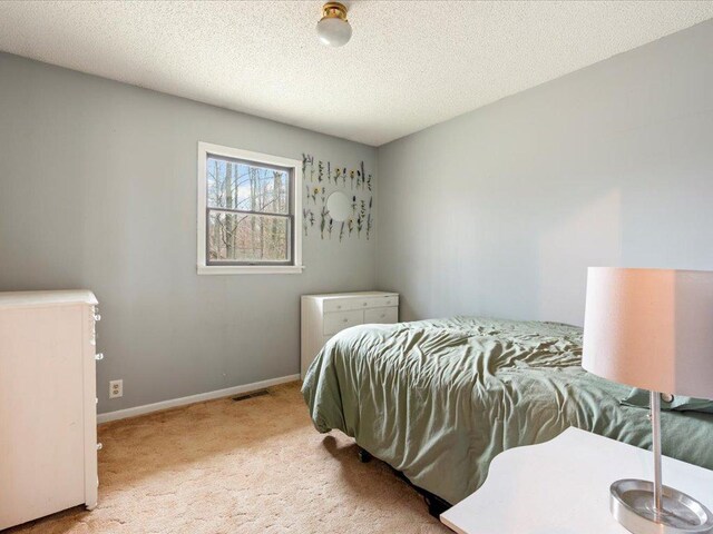 19531 Pine Landing Dr, Grand Rapids, MN 55744 - bedroom with carpet floors, baseboards, and a textured ceiling