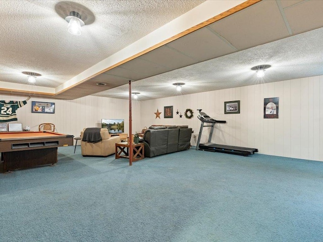 19531 Pine Landing Dr, Grand Rapids, MN 55744 - exercise room featuring a textured ceiling, carpet flooring, and wood walls