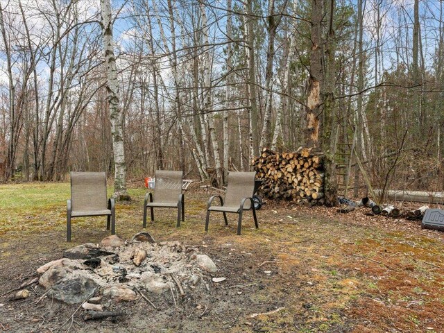 19531 Pine Landing Dr, Grand Rapids, MN 55744 - view of yard