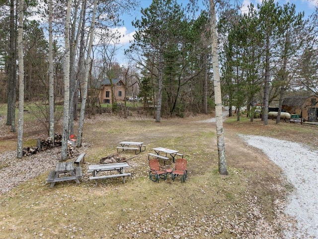 19531 Pine Landing Dr, Grand Rapids, MN 55744 - view of yard