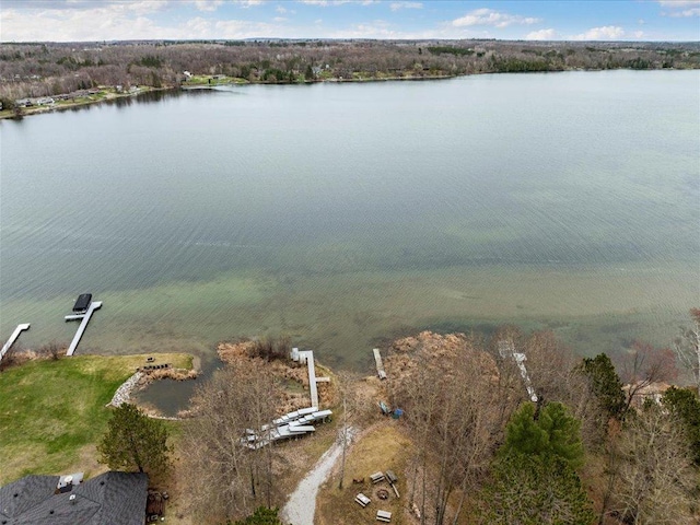 19531 Pine Landing Dr, Grand Rapids, MN 55744 - water view