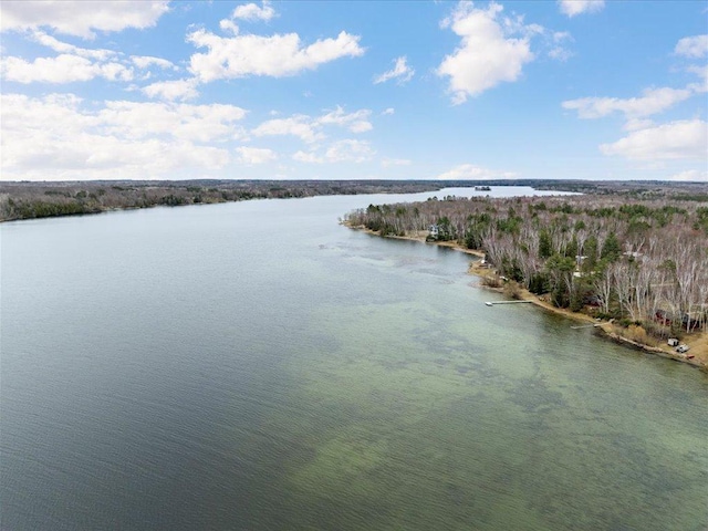 19531 Pine Landing Dr, Grand Rapids, MN 55744 - water view