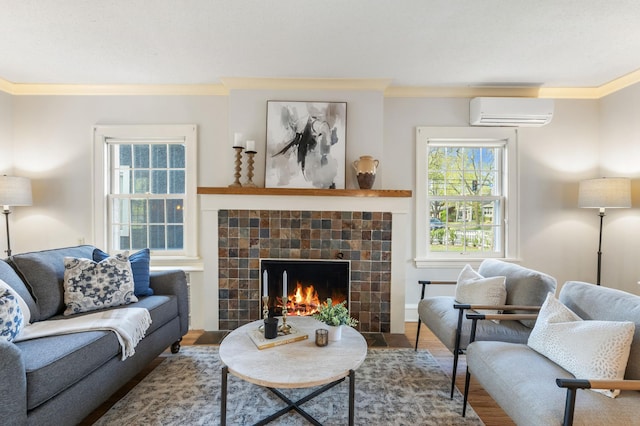 living area with a wall mounted air conditioner, wood finished floors, crown molding, and a fireplace