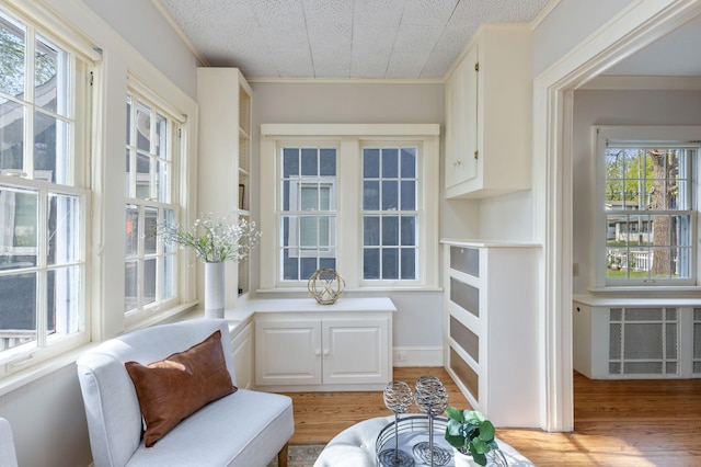 sunroom / solarium with radiator