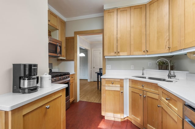 kitchen with stainless steel appliances, a sink, ornamental molding, and light countertops