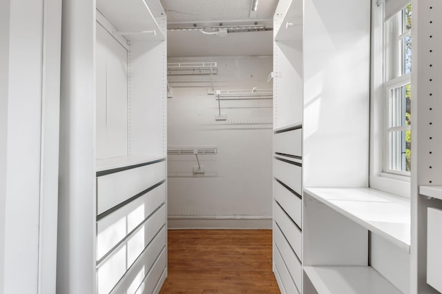 walk in closet featuring wood finished floors
