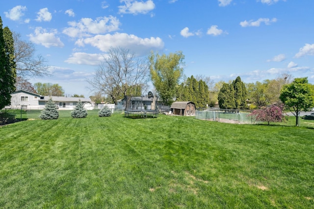 view of yard featuring a trampoline, a shed, and an outdoor structure
