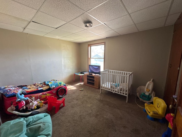 2526 Garnet Ave, Slayton, MN 56172 - carpeted bedroom with a drop ceiling