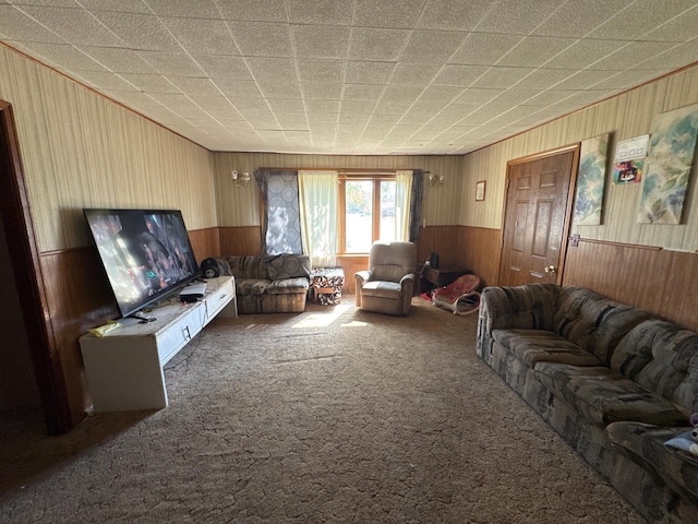 2526 Garnet Ave, Slayton, MN 56172 - living area with a wainscoted wall, wood walls, and carpet