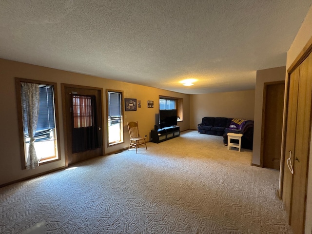 2526 Garnet Ave, Slayton, MN 56172 - carpeted living area with a textured ceiling