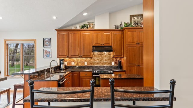 kitchen with black range with electric cooktop, under cabinet range hood, a sink, a peninsula, and tasteful backsplash