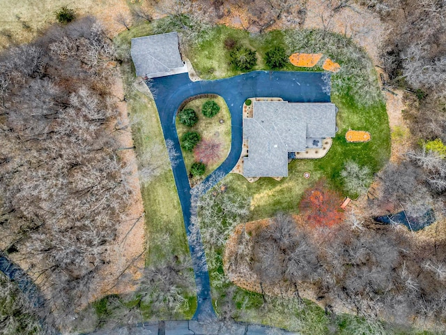 bird's eye view