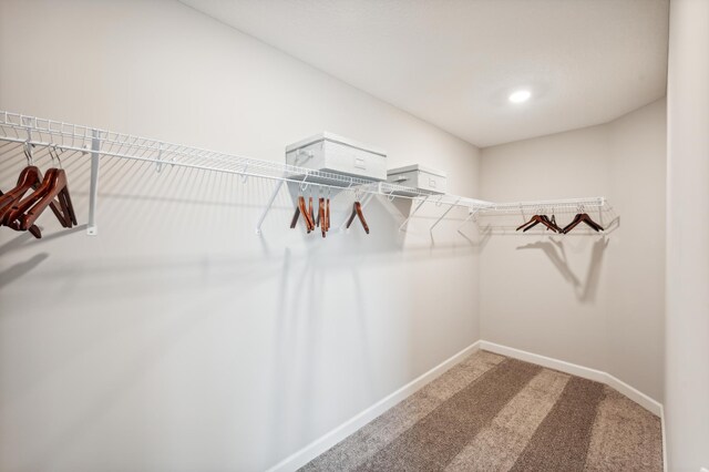 6259 205th St N, Forest Lake, MN 55025 - walk in closet with light carpet