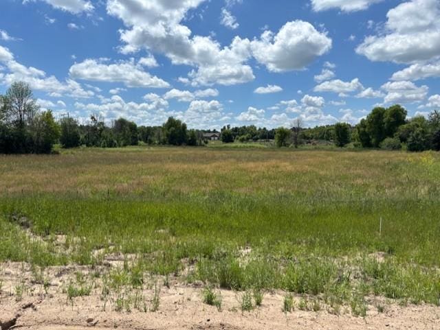 6259 205th St N, Forest Lake, MN 55025 - view of undeveloped land featuring rural landscape