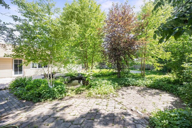 321 Armstrong Ave, Litchfield, MN 55355 - photo 29