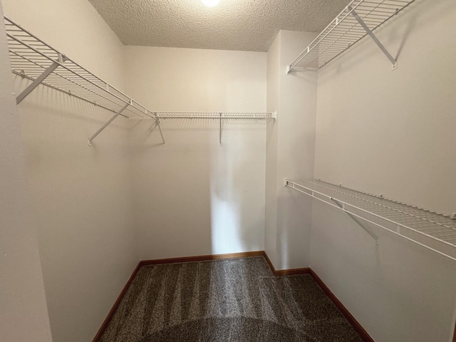 spacious closet featuring carpet floors