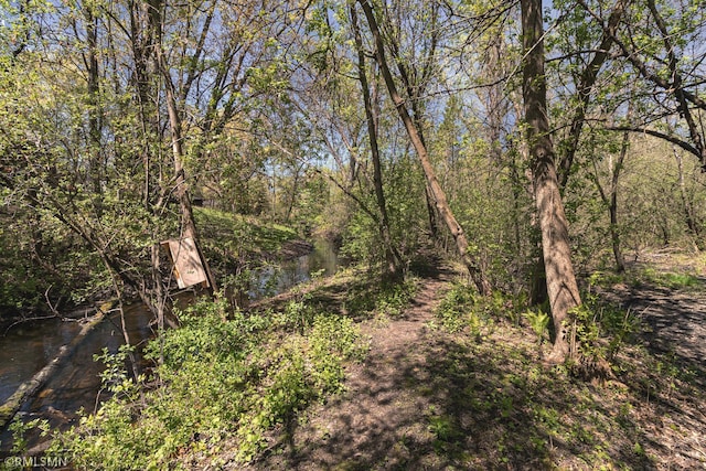view of local wilderness