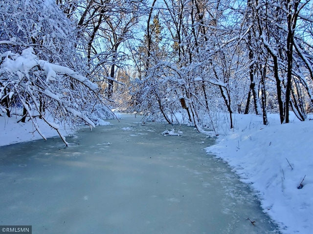 view of yard layered in snow