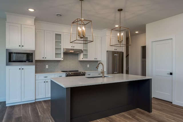 kitchen featuring appliances with stainless steel finishes, a sink, under cabinet range hood, dark wood finished floors, and recessed lighting