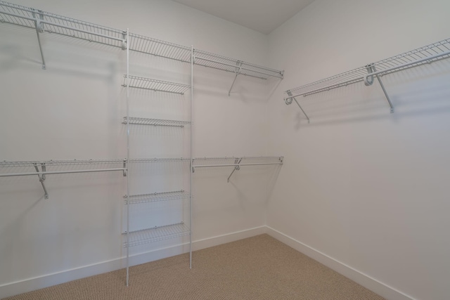 spacious closet featuring light colored carpet