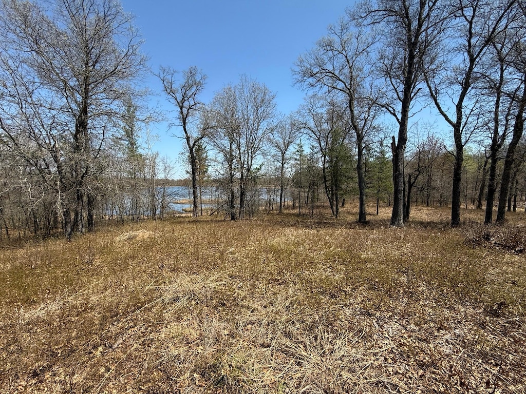 view of nature