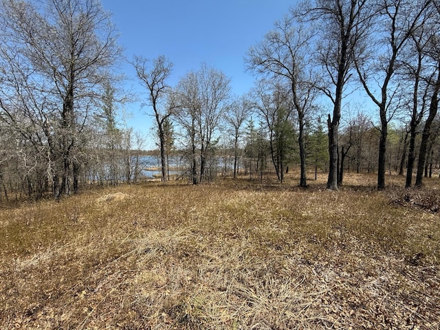 view of nature