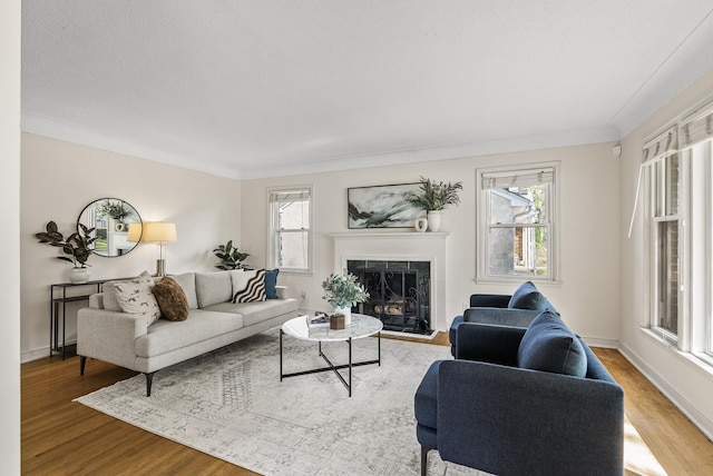 living area with wood finished floors, healthy amount of natural light, a fireplace with raised hearth, ornamental molding, and baseboards