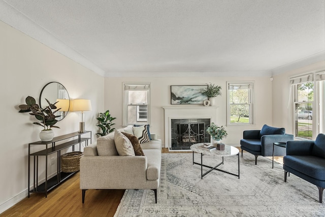 living area with wood finished floors, a premium fireplace, a textured ceiling, and baseboards