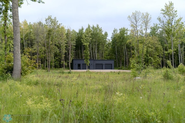 21574 State 200, Rice Twp, MN 56621 - view of woods