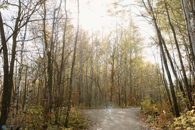 21574 State 200, Rice Twp, MN 56621 - view of street featuring a wooded view