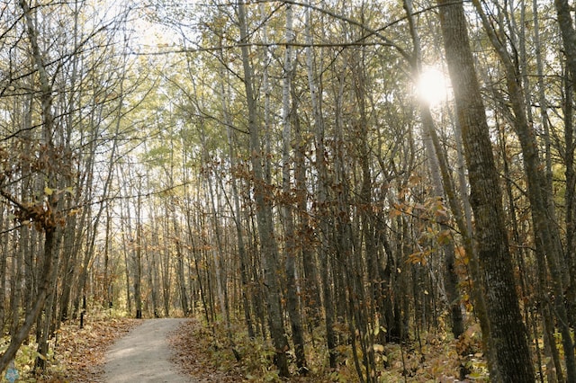 21574 State 200, Rice Twp, MN 56621 - view of road with a wooded view