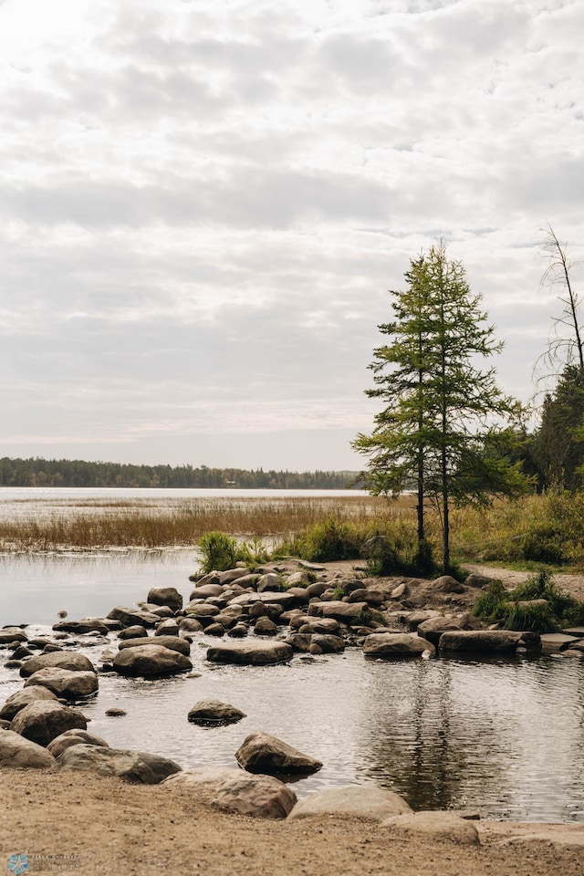 21574 State 200, Rice Twp, MN 56621 - water view