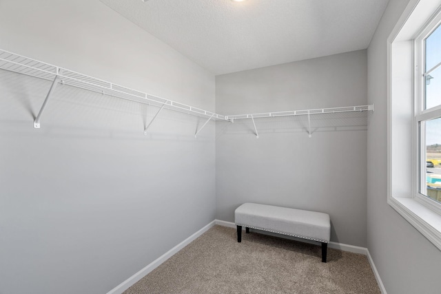 spacious closet with carpet