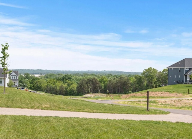 825 Spancil Hill Vw, Woodbury, MN 55129 - view of home's community with a lawn and a view of trees
