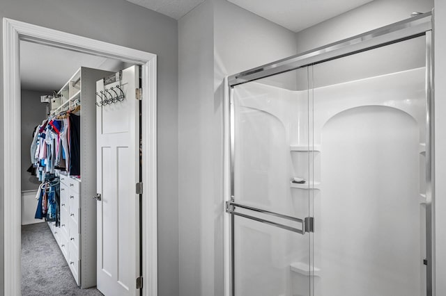 825 Spancil Hill Vw, Woodbury, MN 55129 - full bath featuring a stall shower and a spacious closet