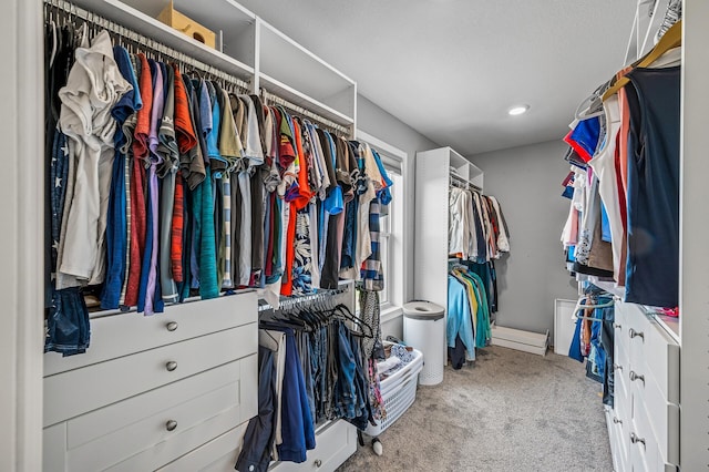 825 Spancil Hill Vw, Woodbury, MN 55129 - walk in closet featuring carpet floors