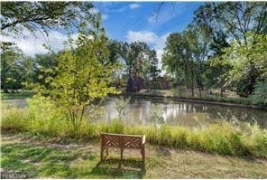 20 Windsor Ln Unit 303A, New Brighton, MN 55112 - water view