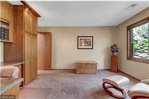 20 Windsor Ln Unit 303A, New Brighton, MN 55112 - sitting room with light carpet
