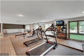 20 Windsor Ln Unit 303A, New Brighton, MN 55112 - exercise room featuring plenty of natural light and carpet flooring