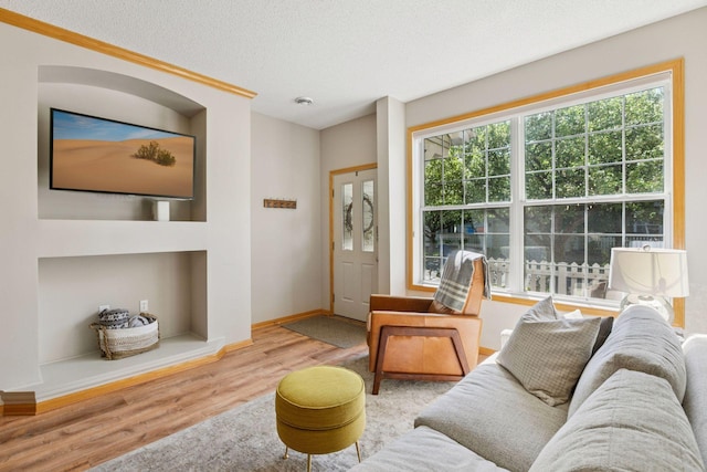 13700 54th Ave N Unit 405, Plymouth, MN 55446 - living room featuring wood finished floors, baseboards, and a textured ceiling