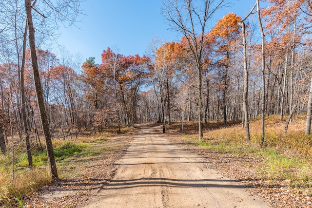 view of road with a wooded view